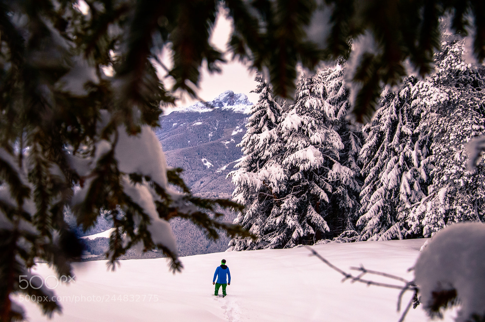 Nikon D3200 sample photo. Mountain focus photography