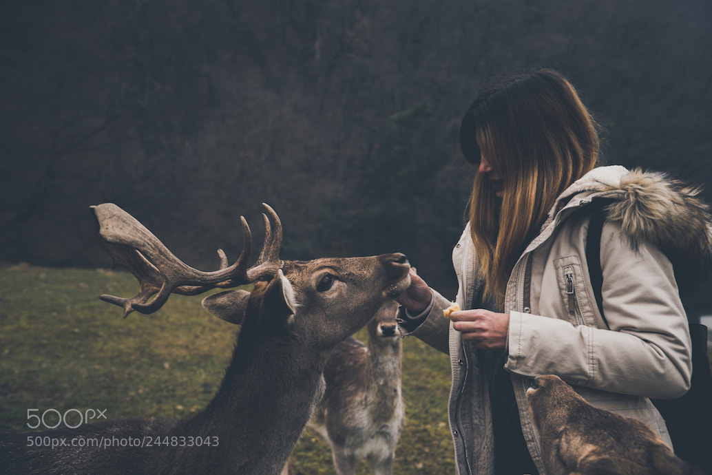 Sony a7R II sample photo. Girl with deer photography