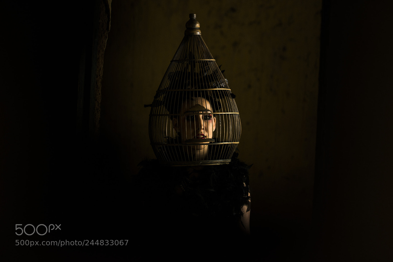 Nikon D800 sample photo. Freakshow photography