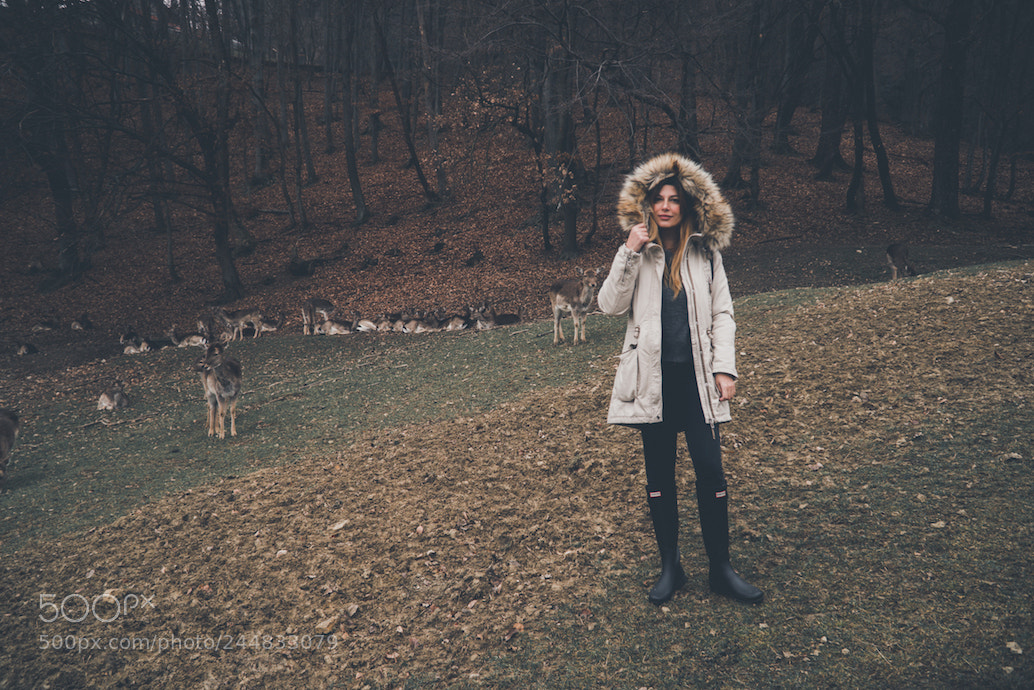 Sony a7R II sample photo. Girl with deer photography