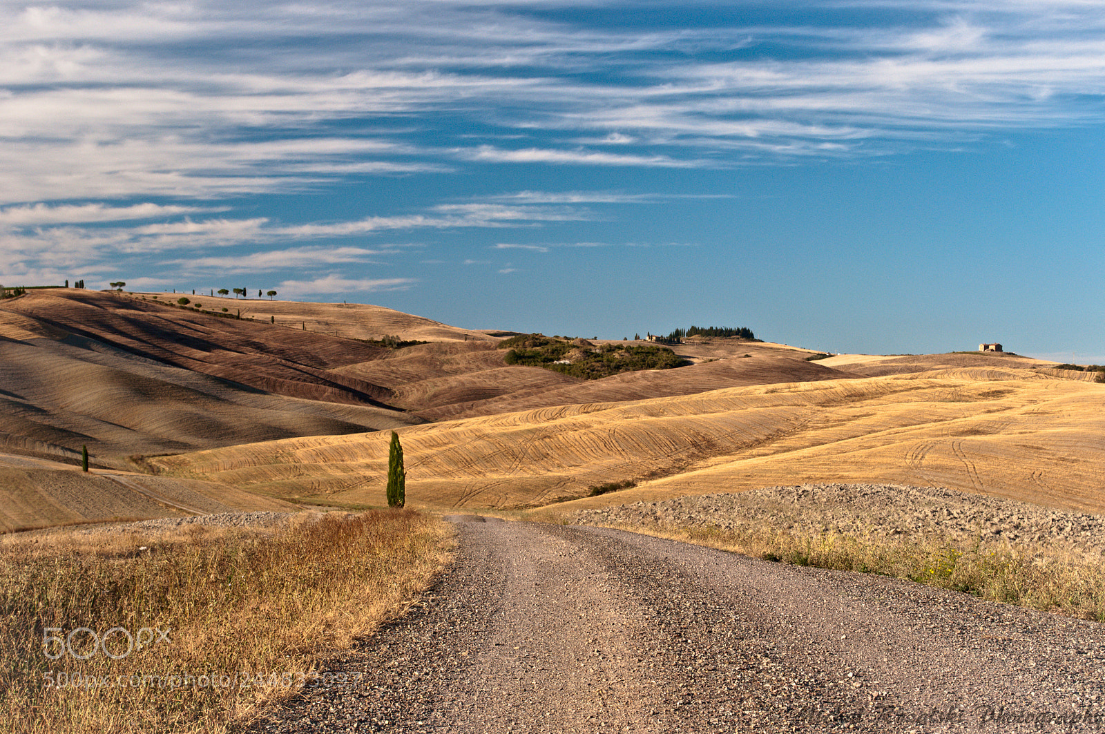 Nikon D90 sample photo. The road photography