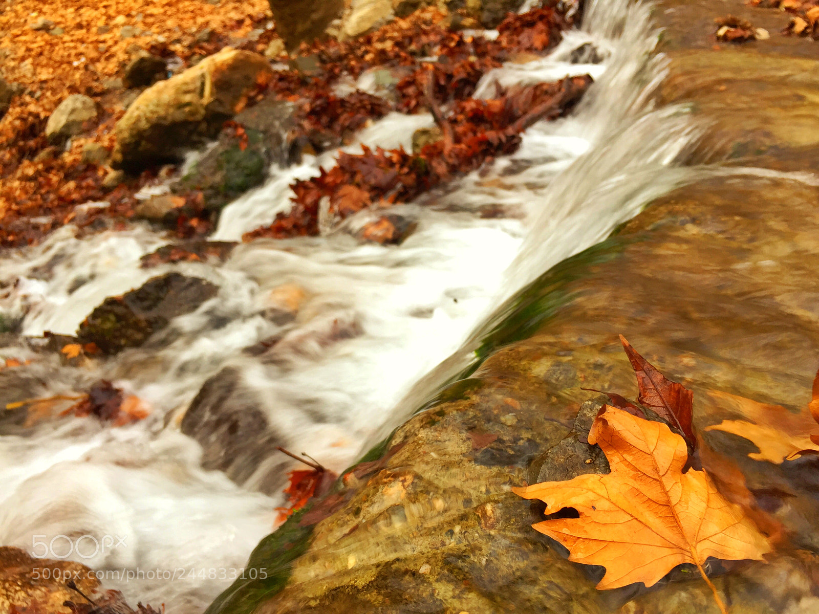 Apple iPhone 6 sample photo. Stres photography