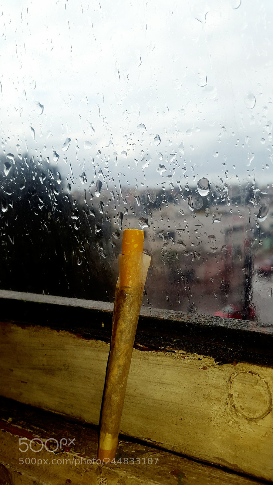 Samsung Galaxy S5 sample photo. Untitled photography