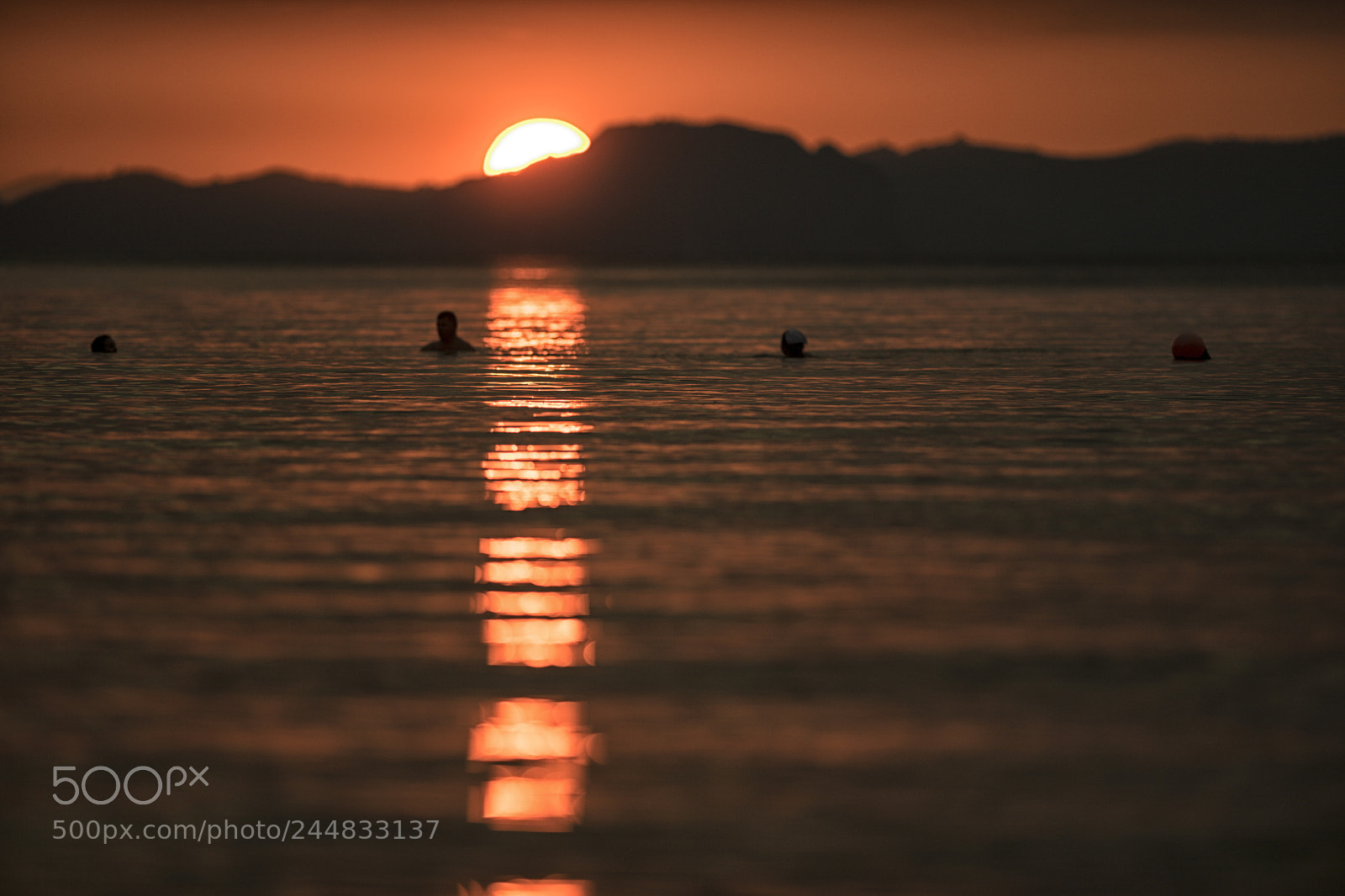 Nikon D5 sample photo. Sunset swimmer photography