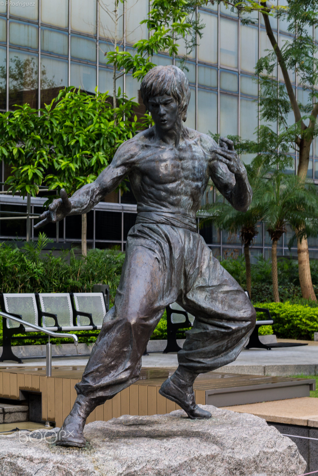 Canon EOS 1100D (EOS Rebel T3 / EOS Kiss X50) sample photo. Bruce lee photography