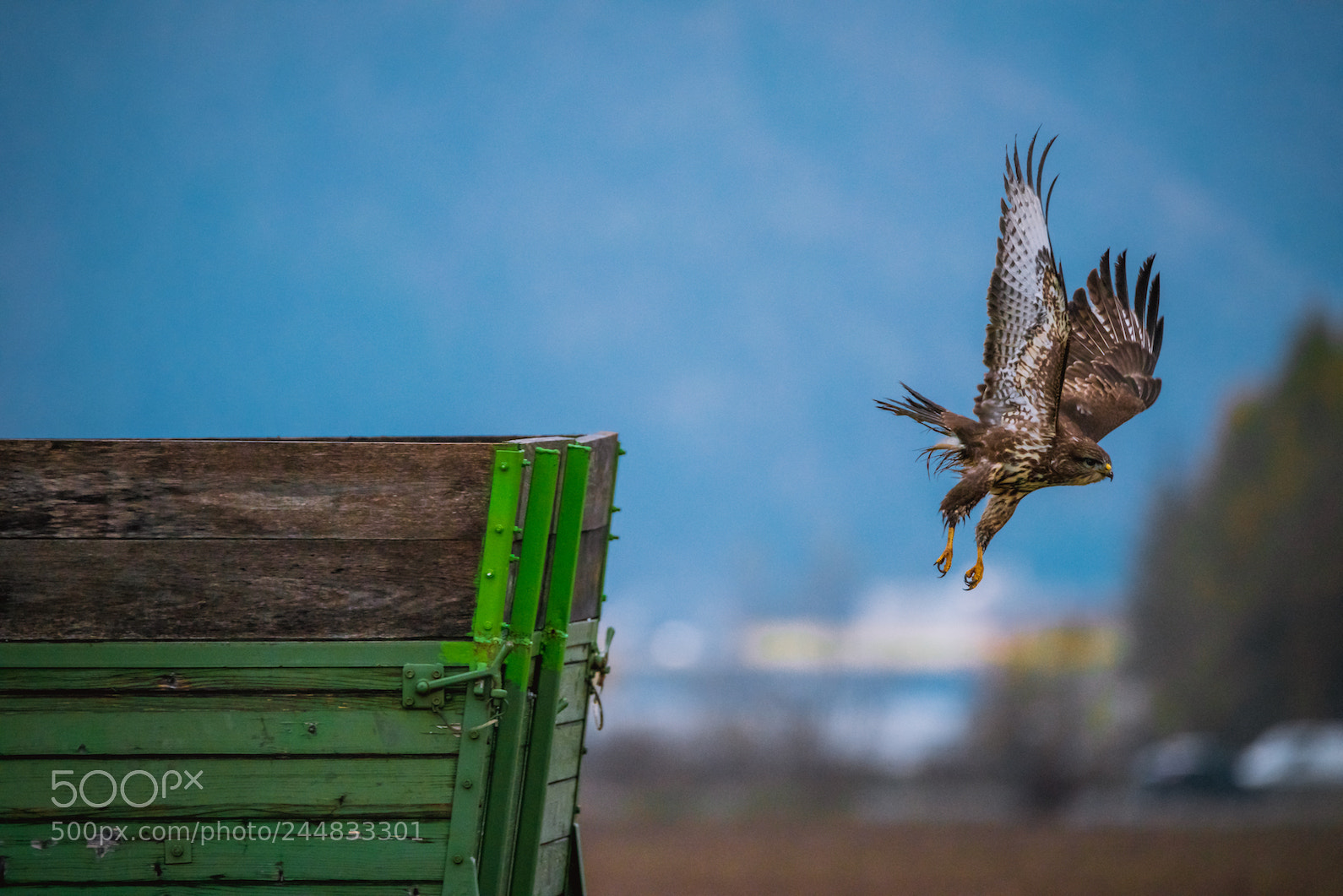 Sony a7R II sample photo. Buzzaed photography