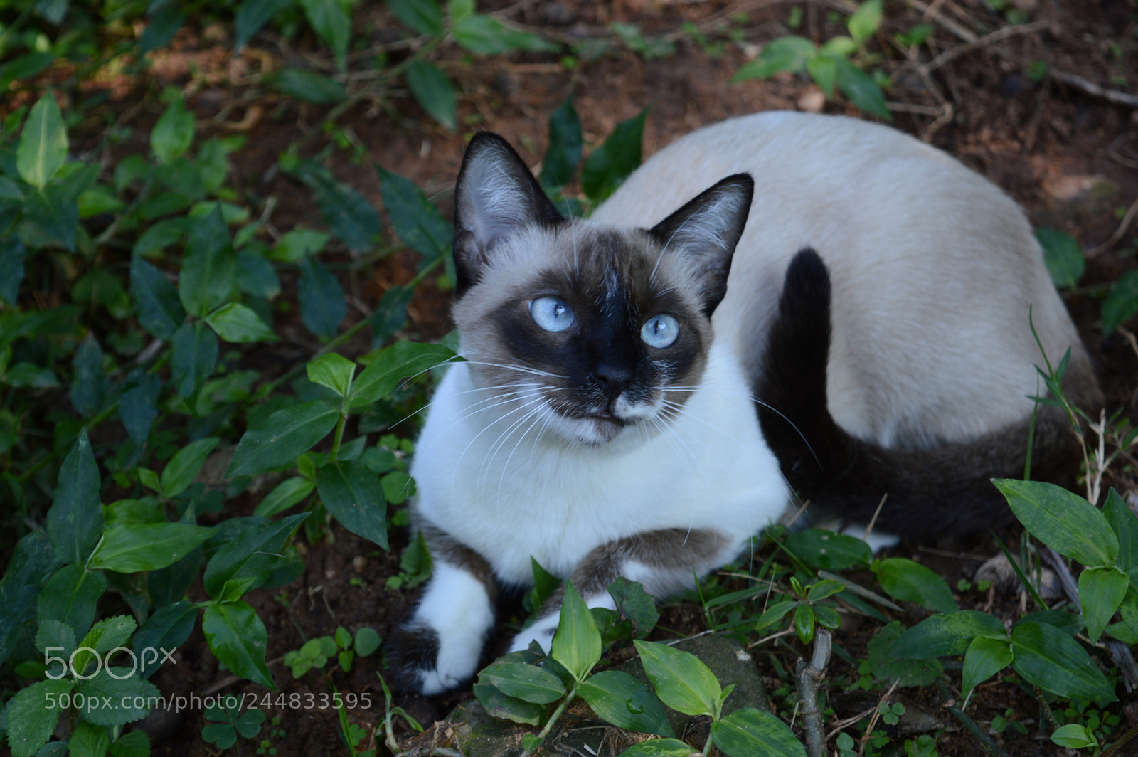Nikon D3200 sample photo. Untitled photography