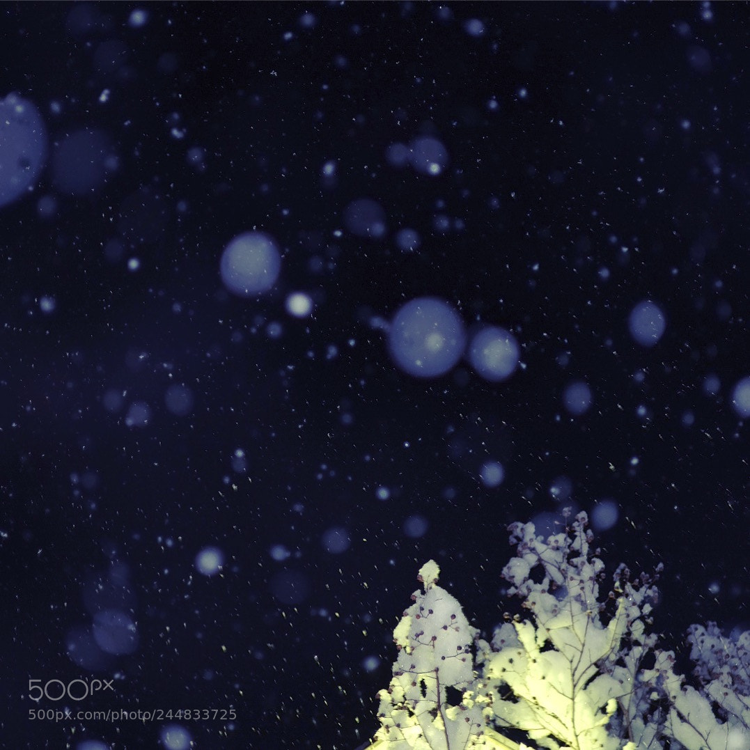 Fujifilm X-T10 sample photo. Snow photography