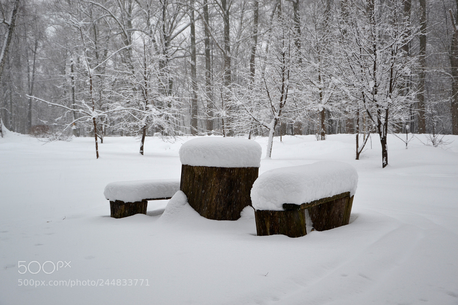 Nikon D3100 sample photo. Waiting for spring photography