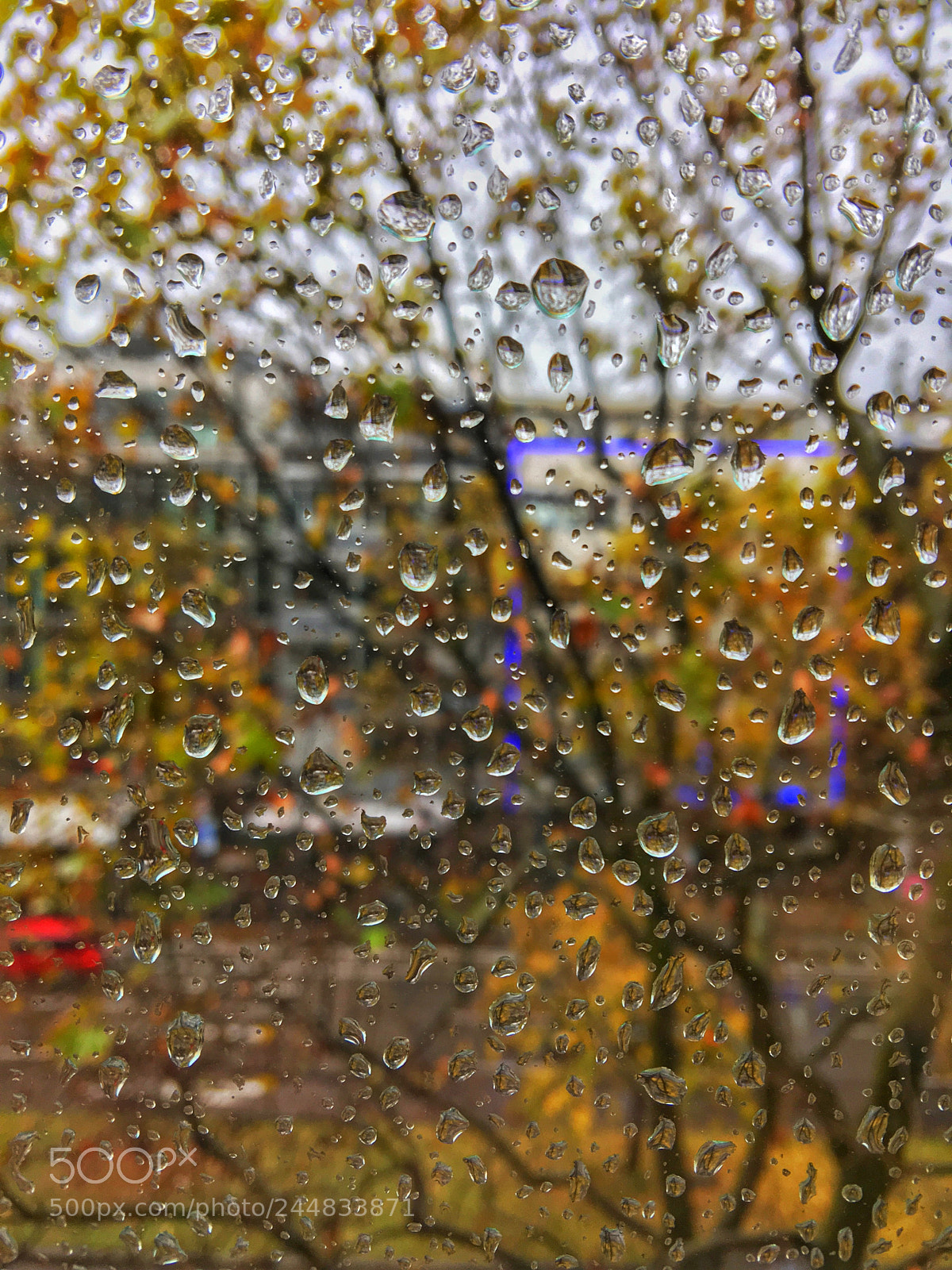 Apple iPhone 6s Plus sample photo. Rain drops photography