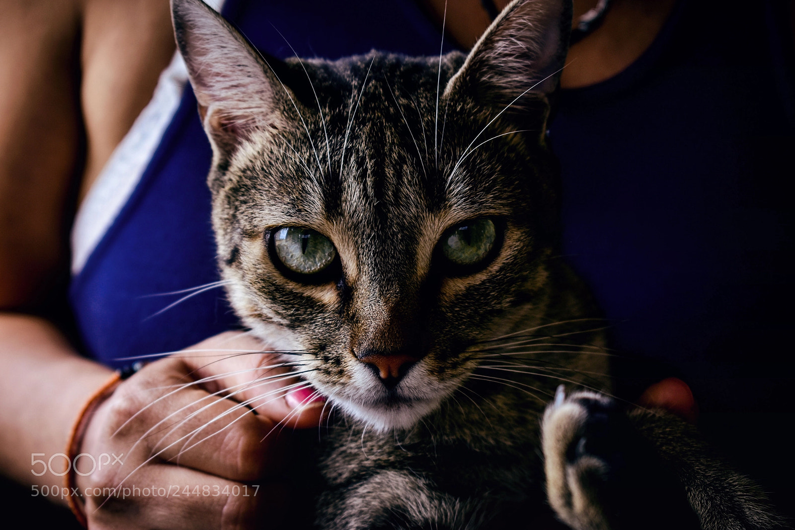 Nikon D5600 sample photo. Loretta photography