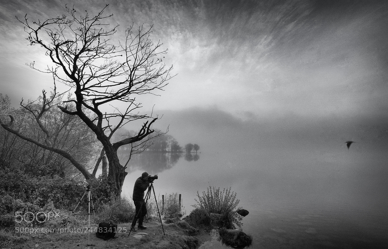 Sony ILCA-77M2 sample photo. The photographer photography