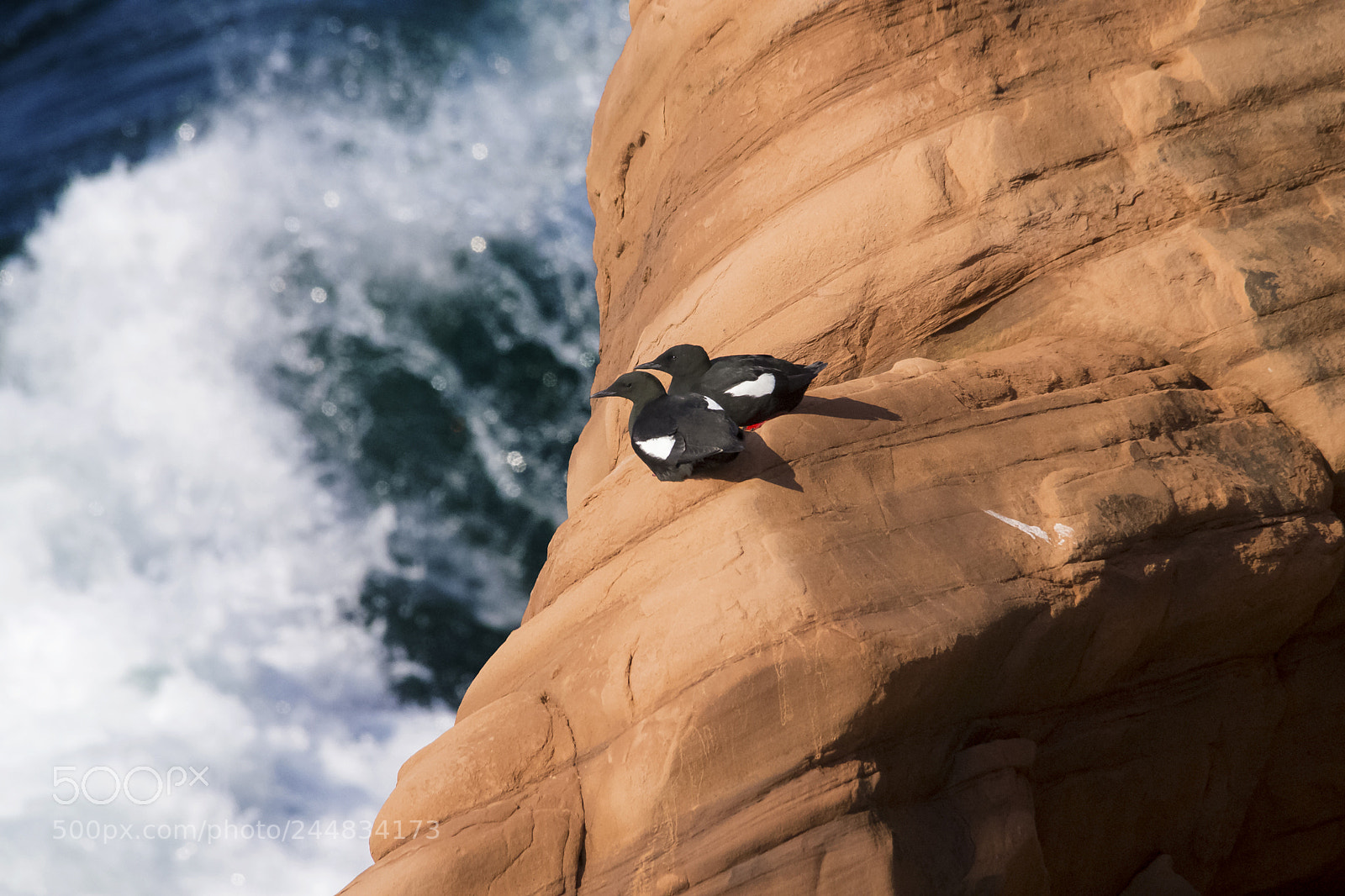 Pentax K-5 sample photo. Fly to paradise of photography