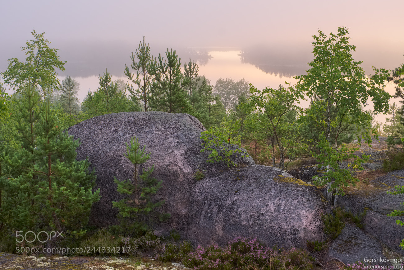 Fujifilm X-T20 sample photo. Fog on the morning photography
