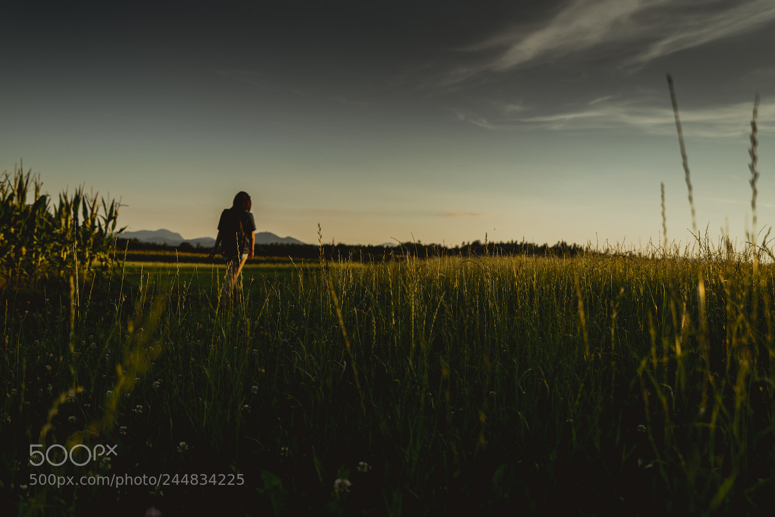 Sony a7R II sample photo. Discovery slovenia photography