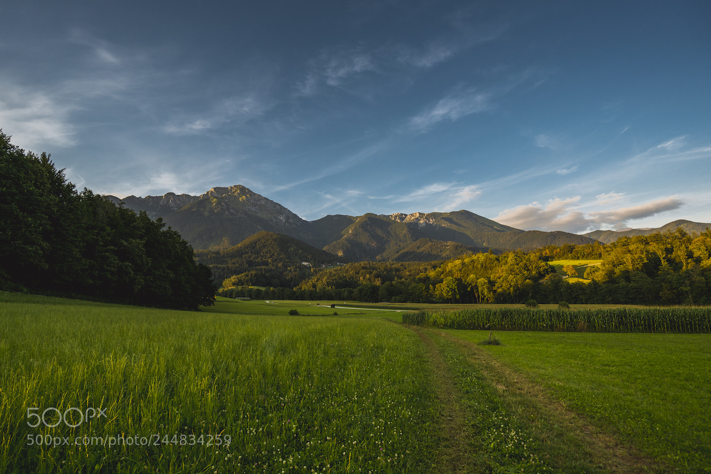 Sony a7R II sample photo. Discovery slovenia photography