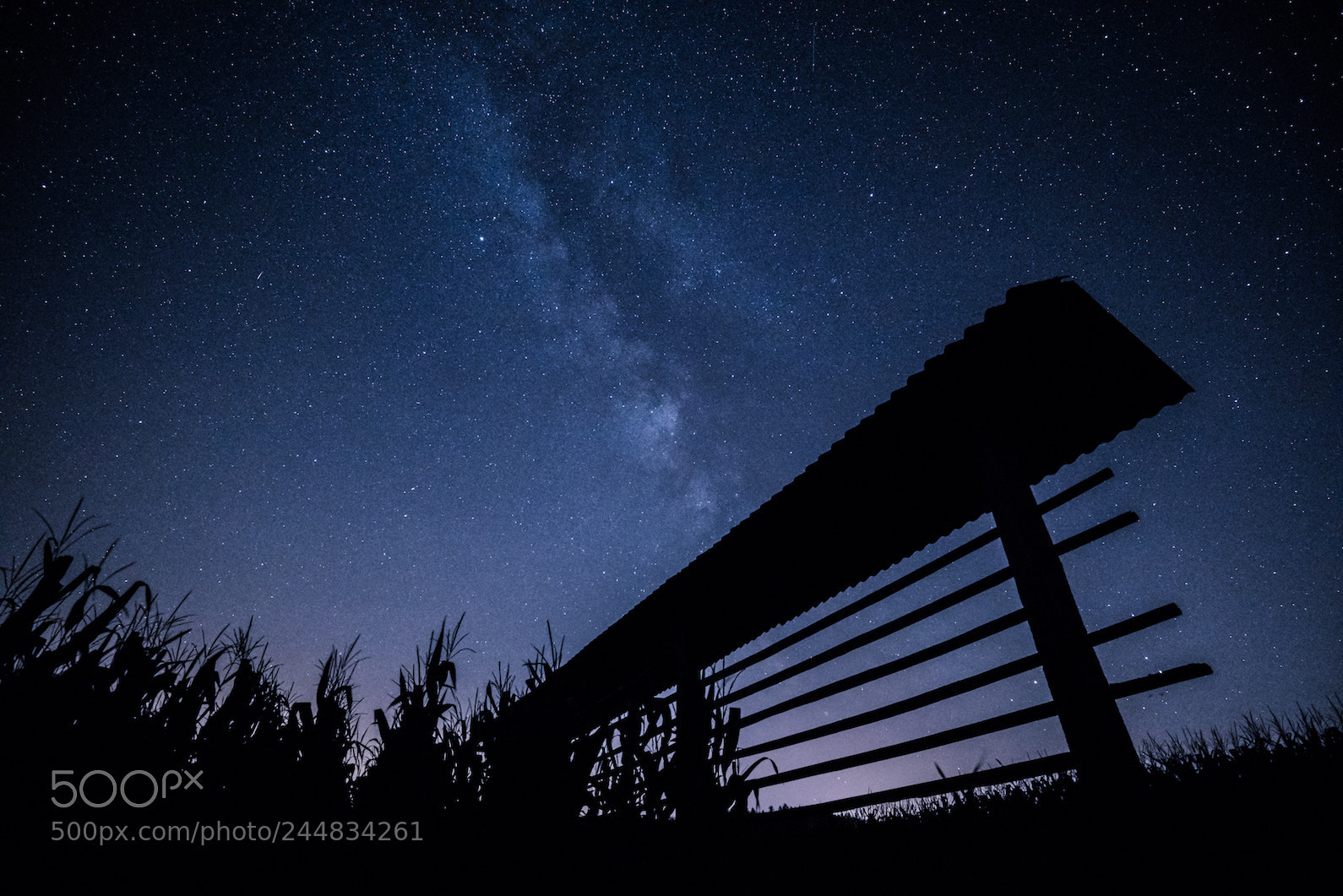 Sony a7R II sample photo. Milky way photography