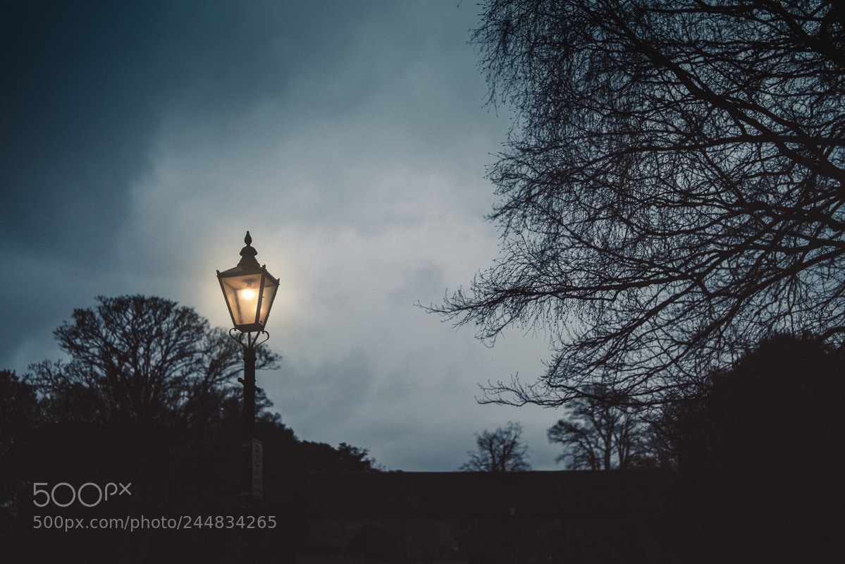 Sony a7R II sample photo. Lamp photography