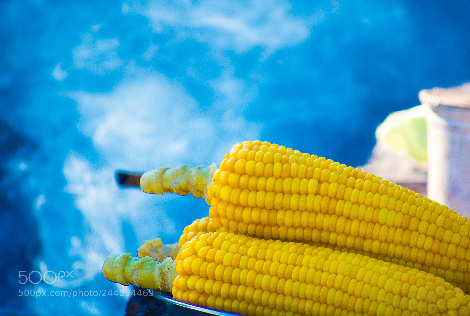Nikon D7200 sample photo. The hot and spicy photography