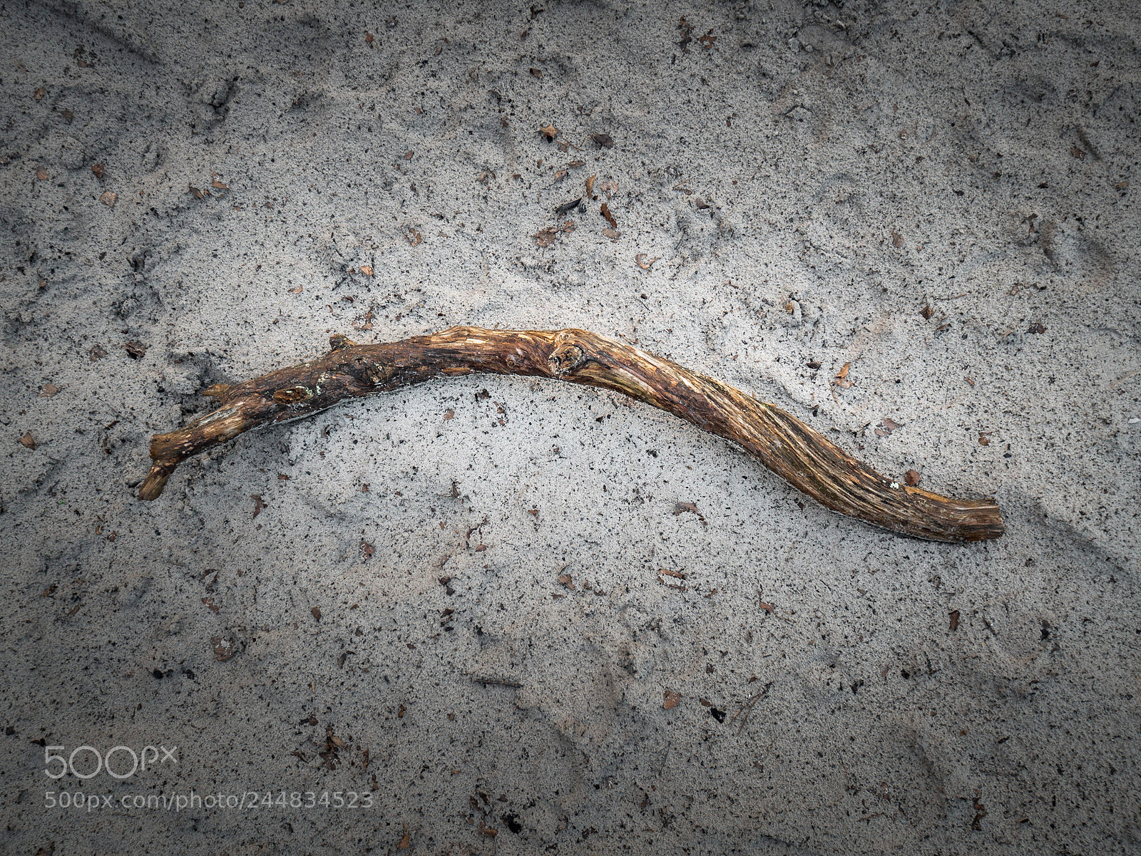 Panasonic Lumix DMC-GX85 (Lumix DMC-GX80 / Lumix DMC-GX7 Mark II) sample photo. Untitled photography