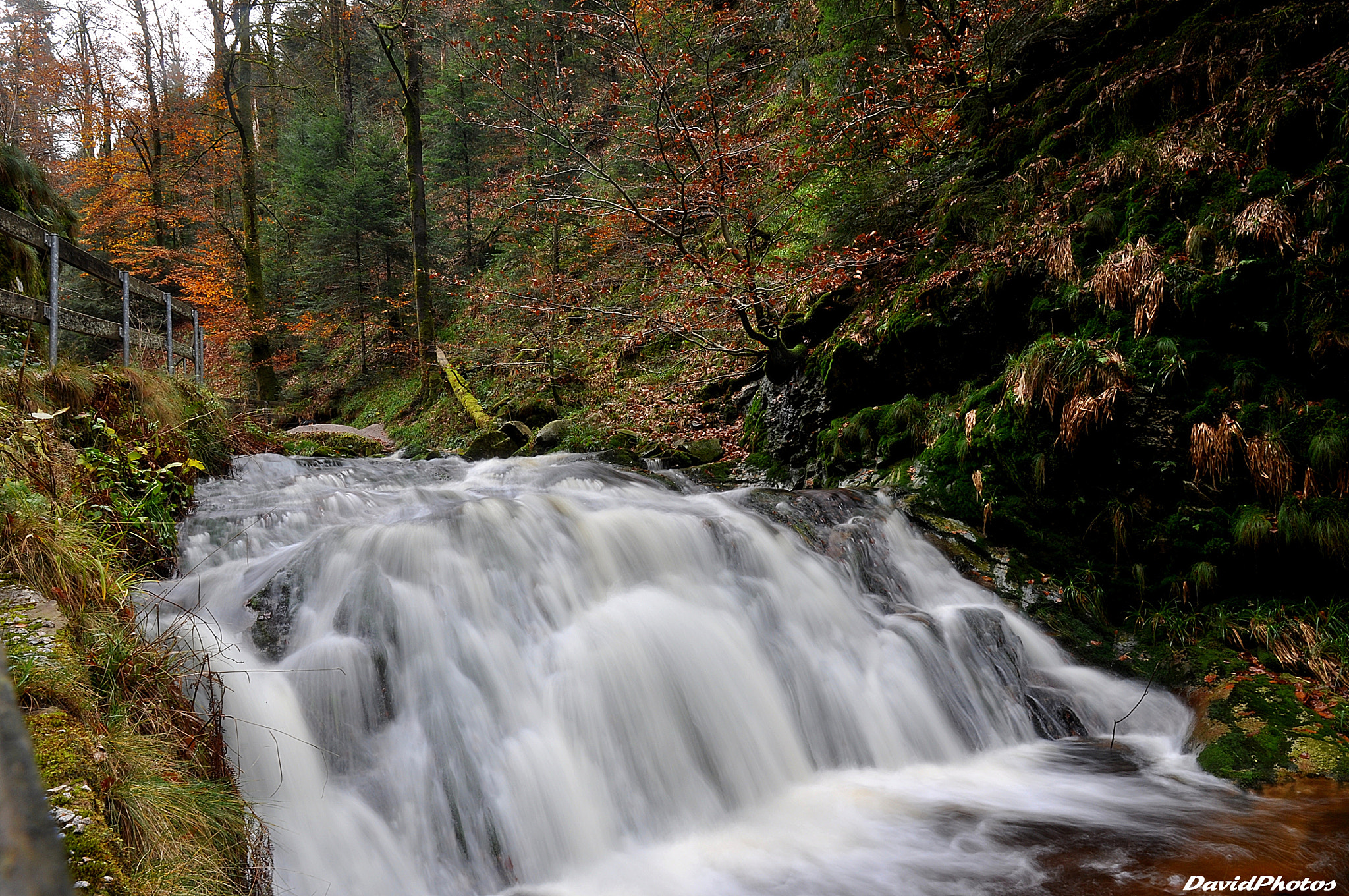 Nikon D5000 sample photo. Schwarzwald photography