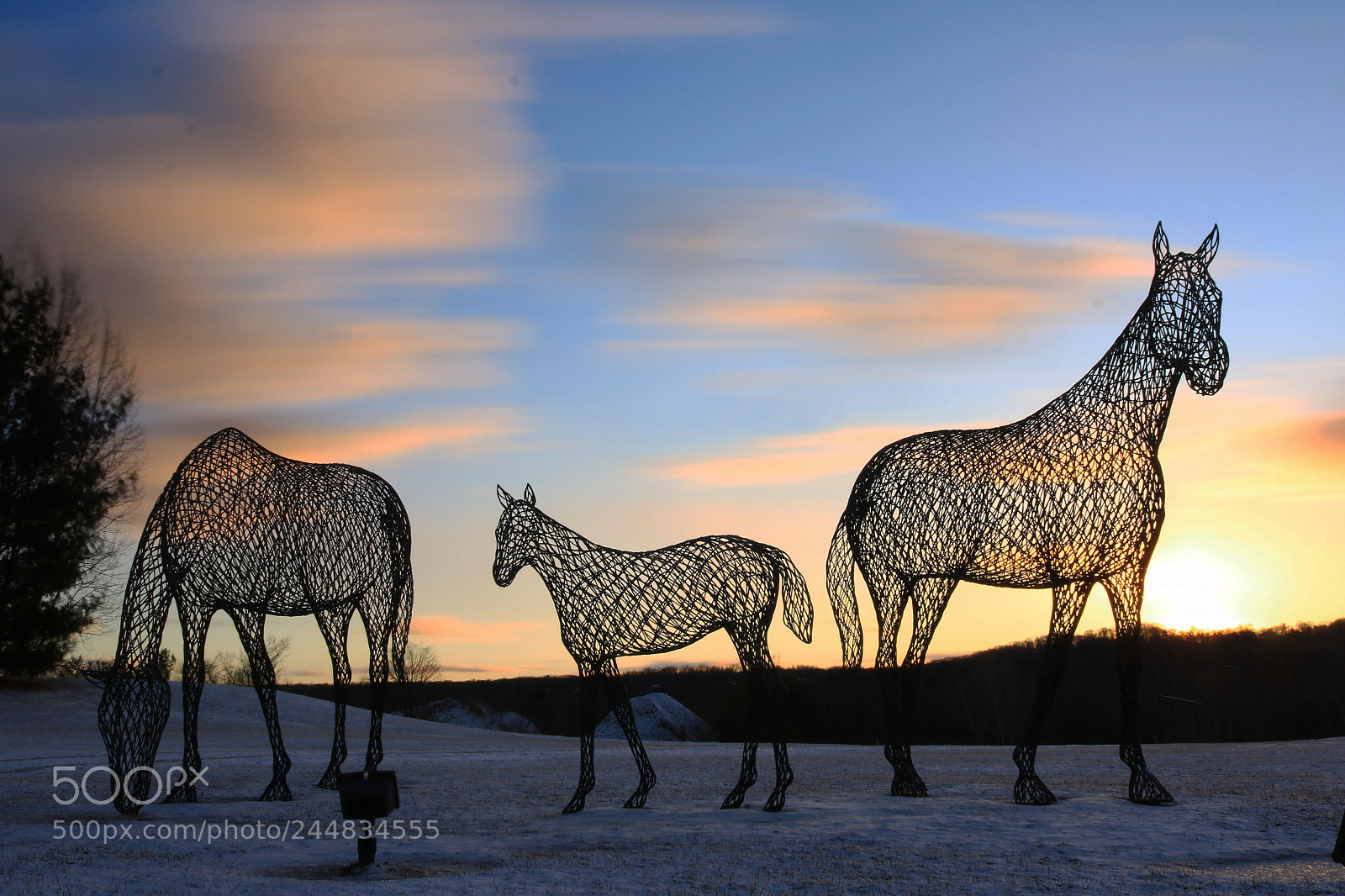 Canon EOS 750D (EOS Rebel T6i / EOS Kiss X8i) sample photo. Horse power photography