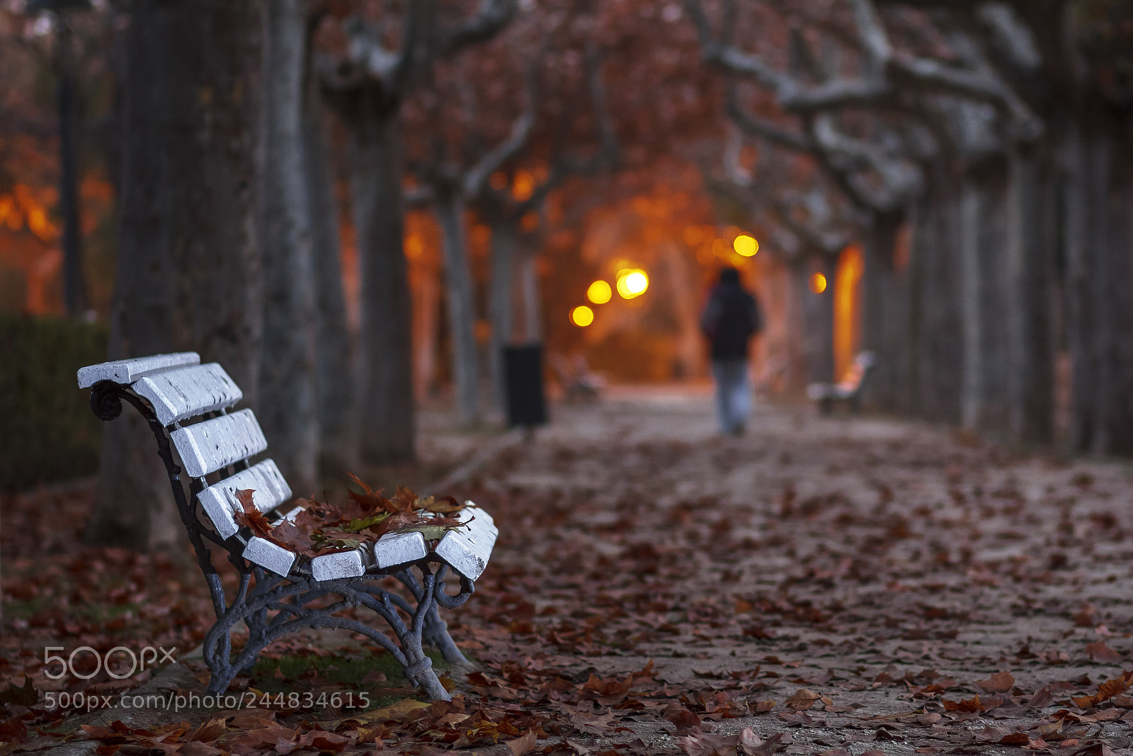 Canon EOS 60D sample photo. Shadow in the light photography