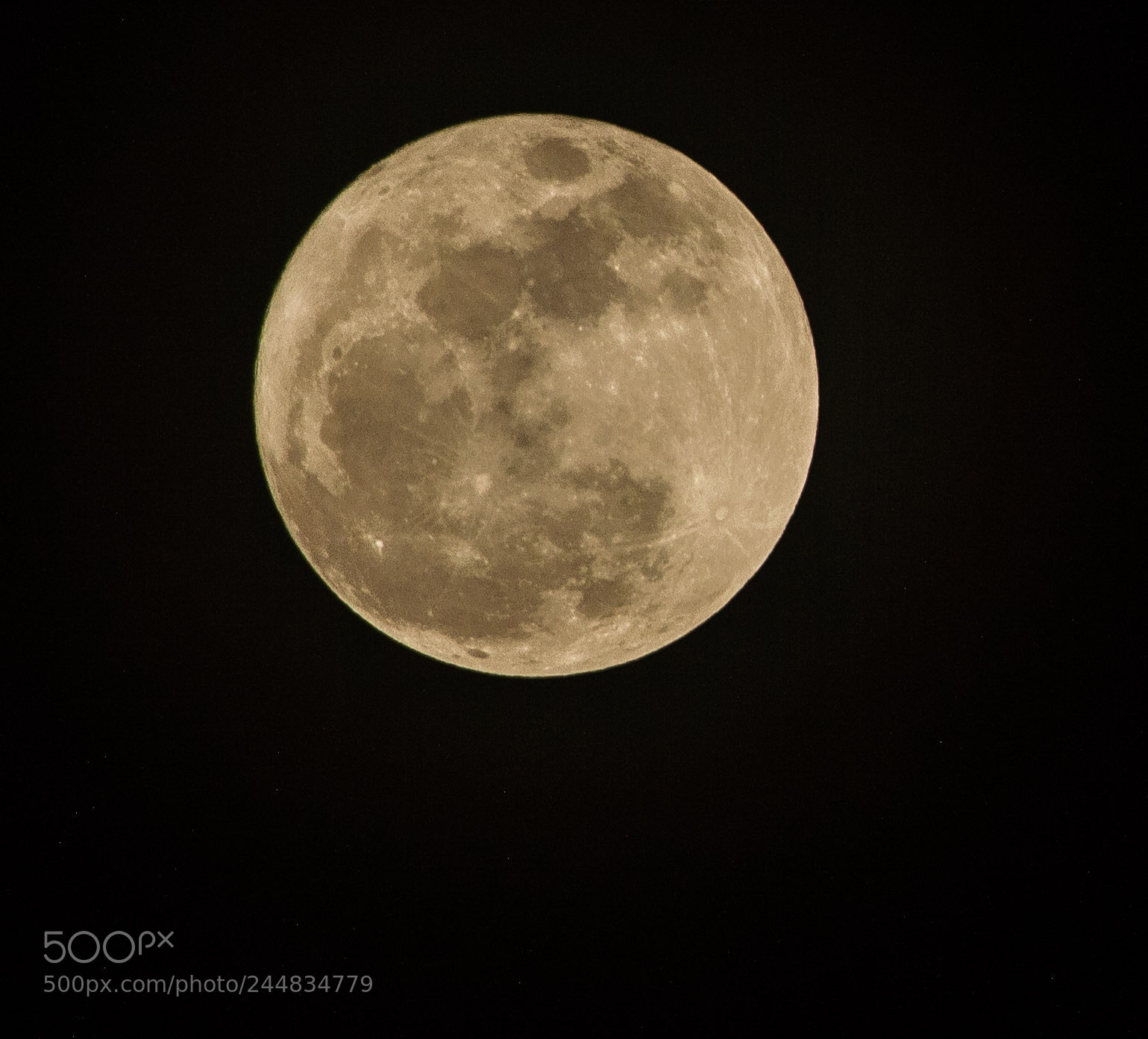 Nikon D3200 sample photo. Untitled photography