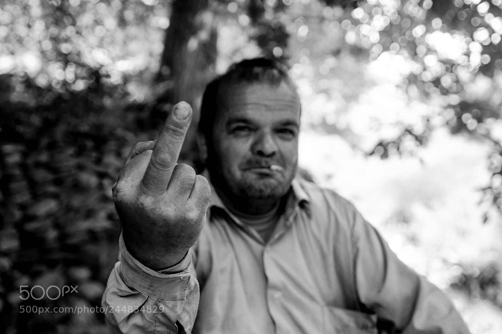 Nikon D90 sample photo. Untitled photography
