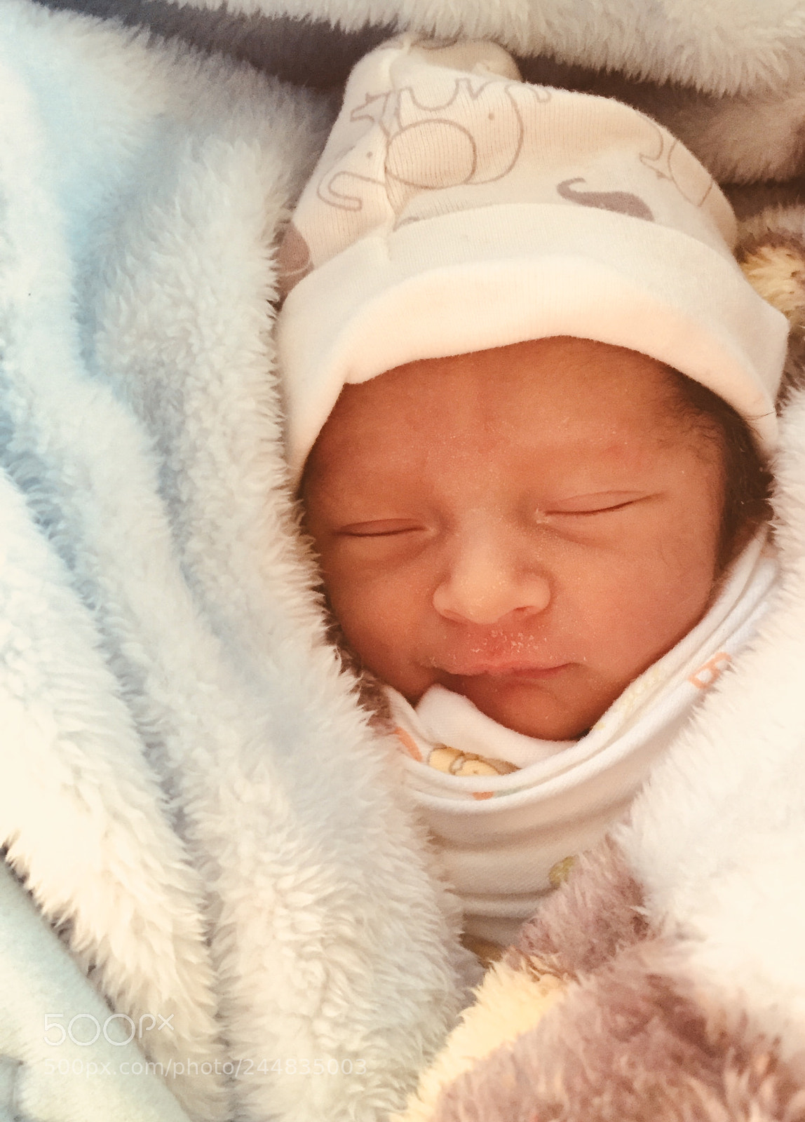 Apple iPhone 6 sample photo. Welcome rodrigo ❤️ photography