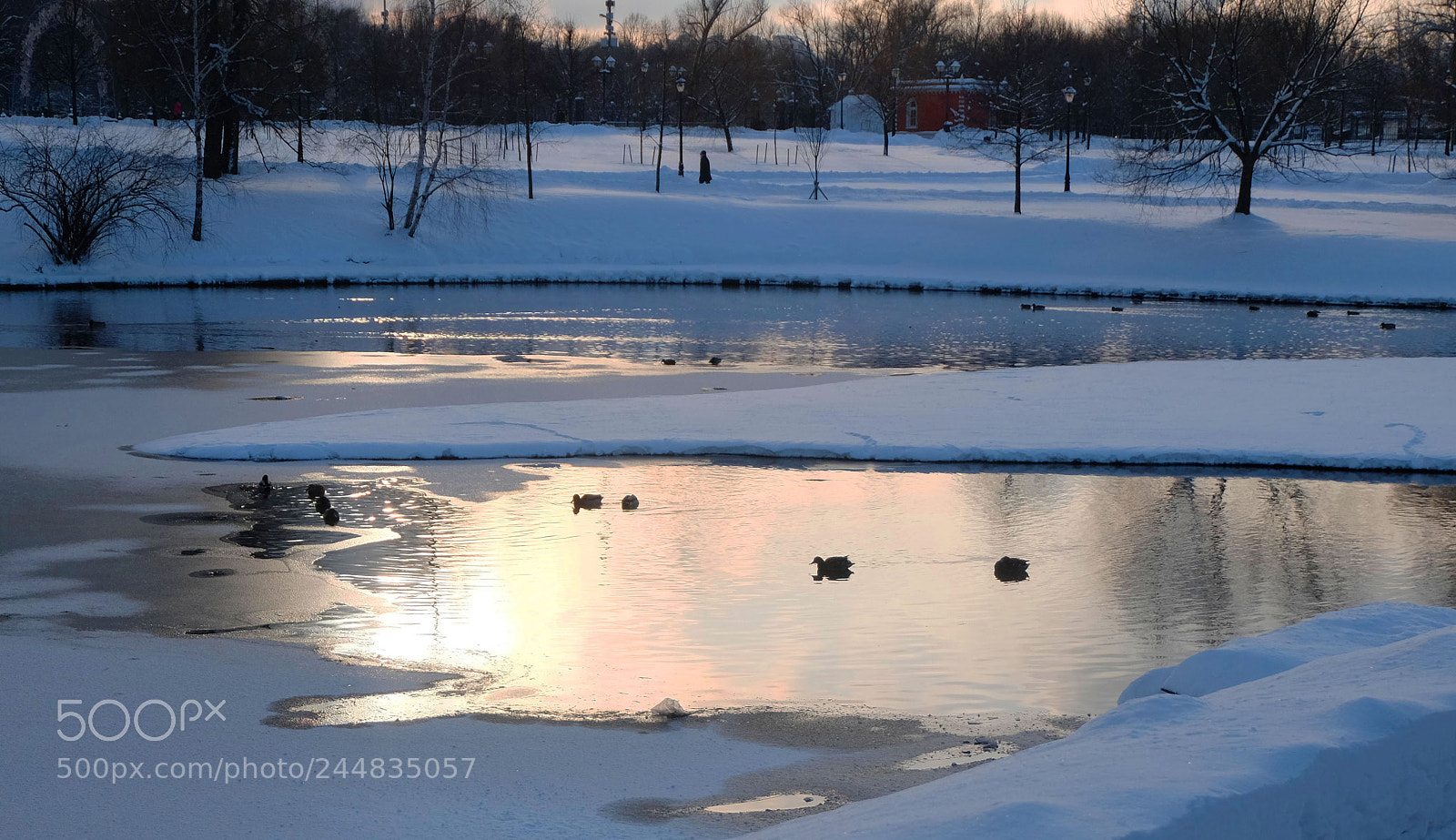 Fujifilm X-M1 sample photo. The lake in winter photography