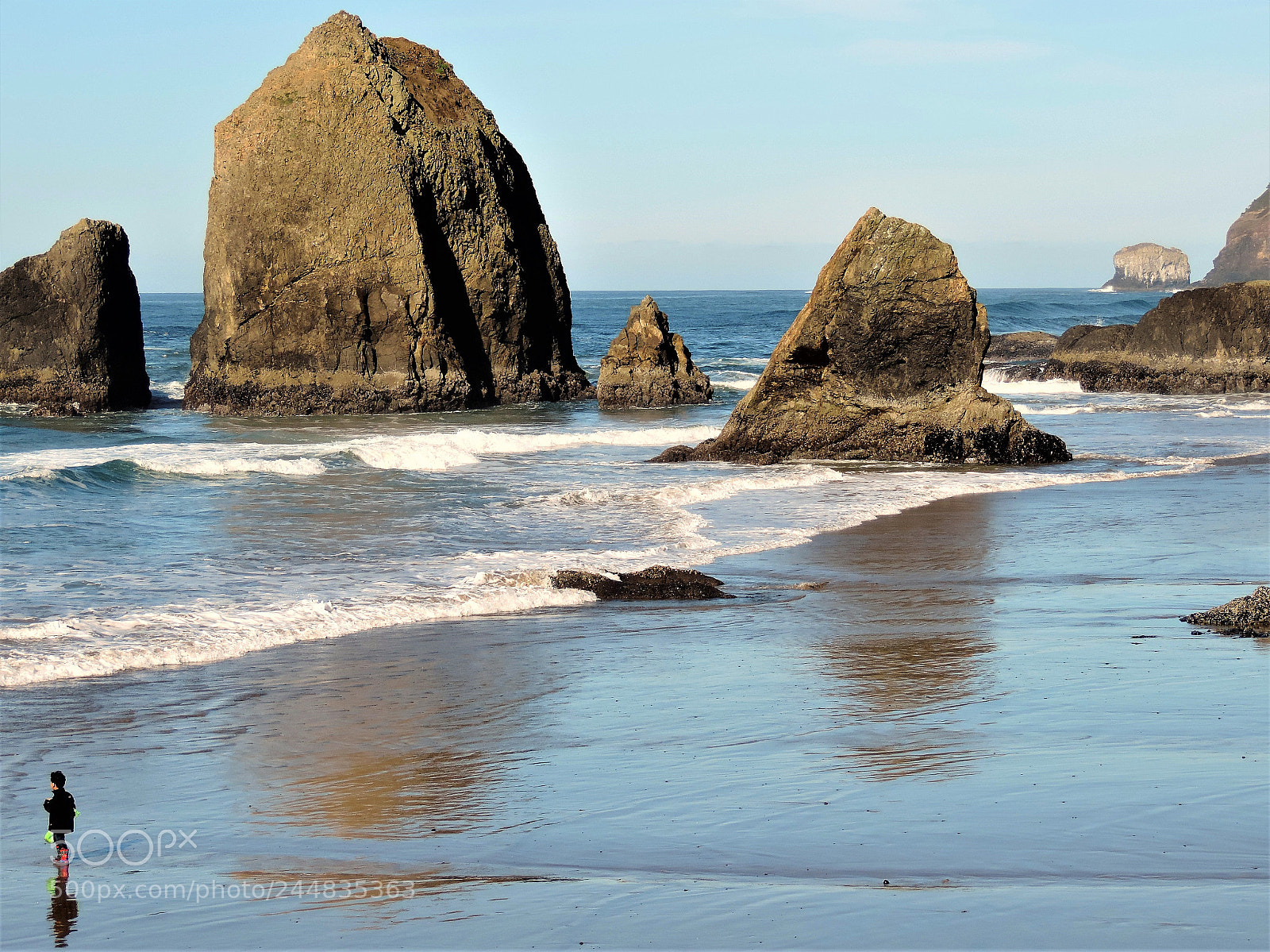 Nikon Coolpix P520 sample photo. Beach combing photography