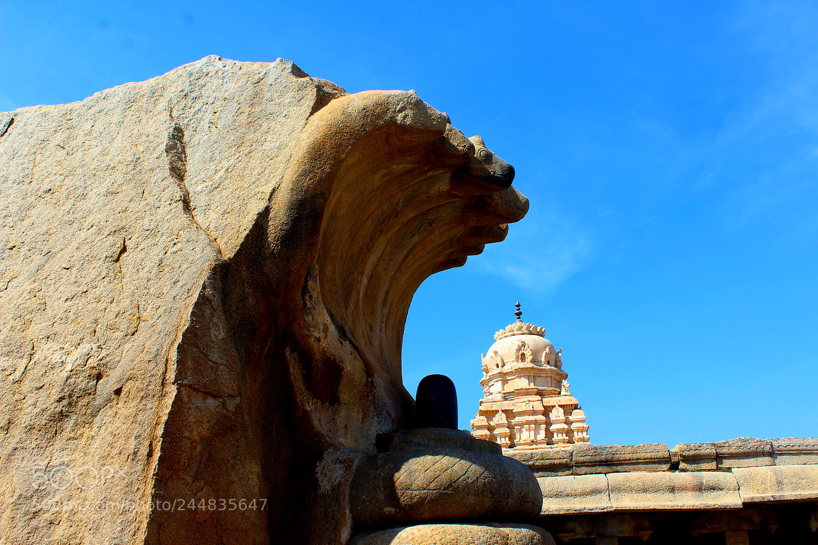 Canon EOS 1200D (EOS Rebel T5 / EOS Kiss X70 / EOS Hi) sample photo. Naga lingam lepakshi temple photography