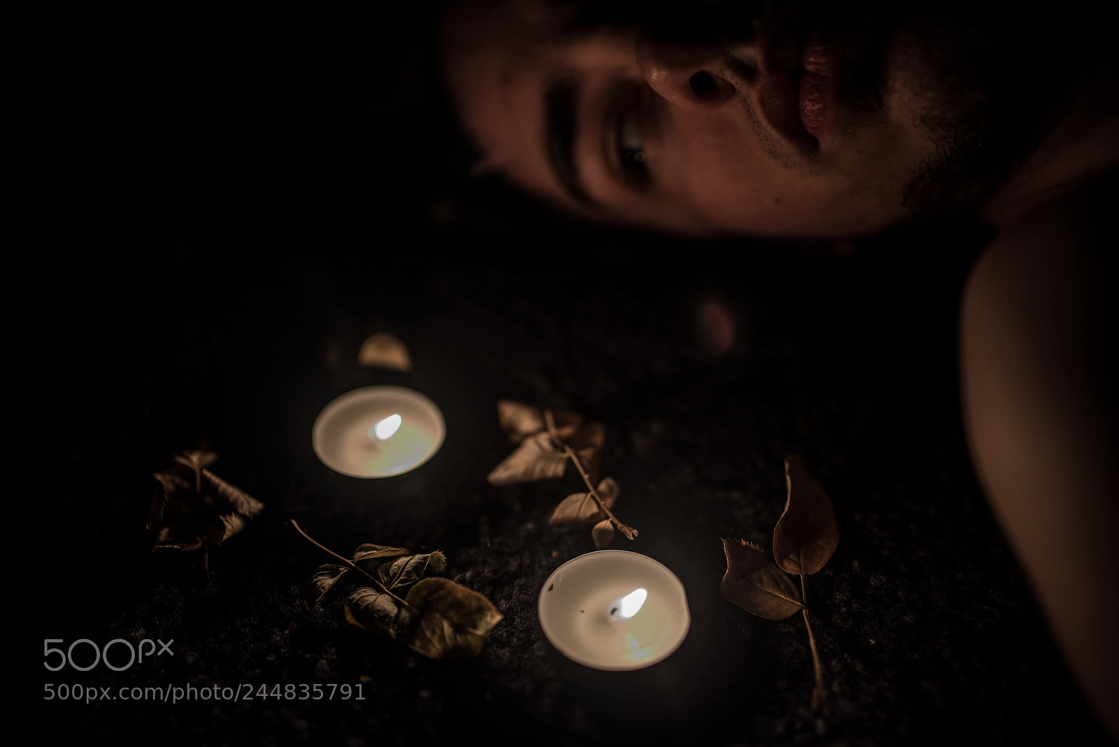 Nikon D800 sample photo. The light in will photography