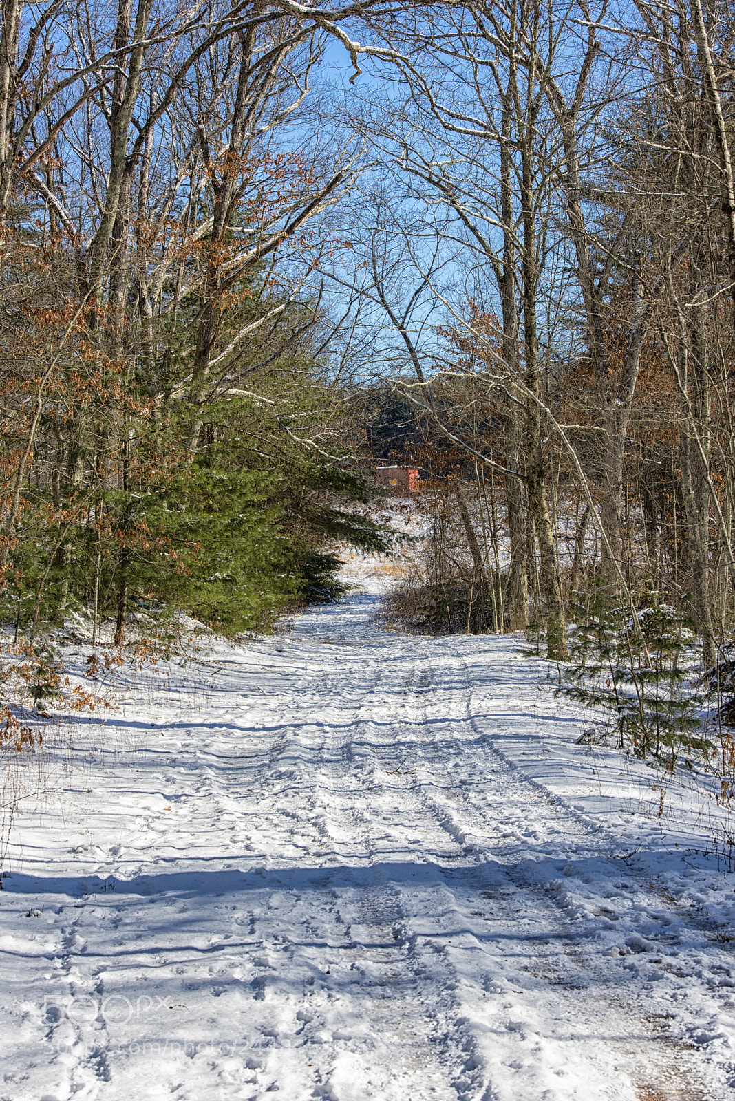 Nikon D810 sample photo. Winter pathway at buckingham photography