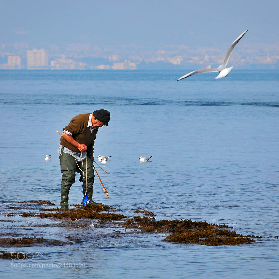 Nikon D300S sample photo. The octopus fisherman photography