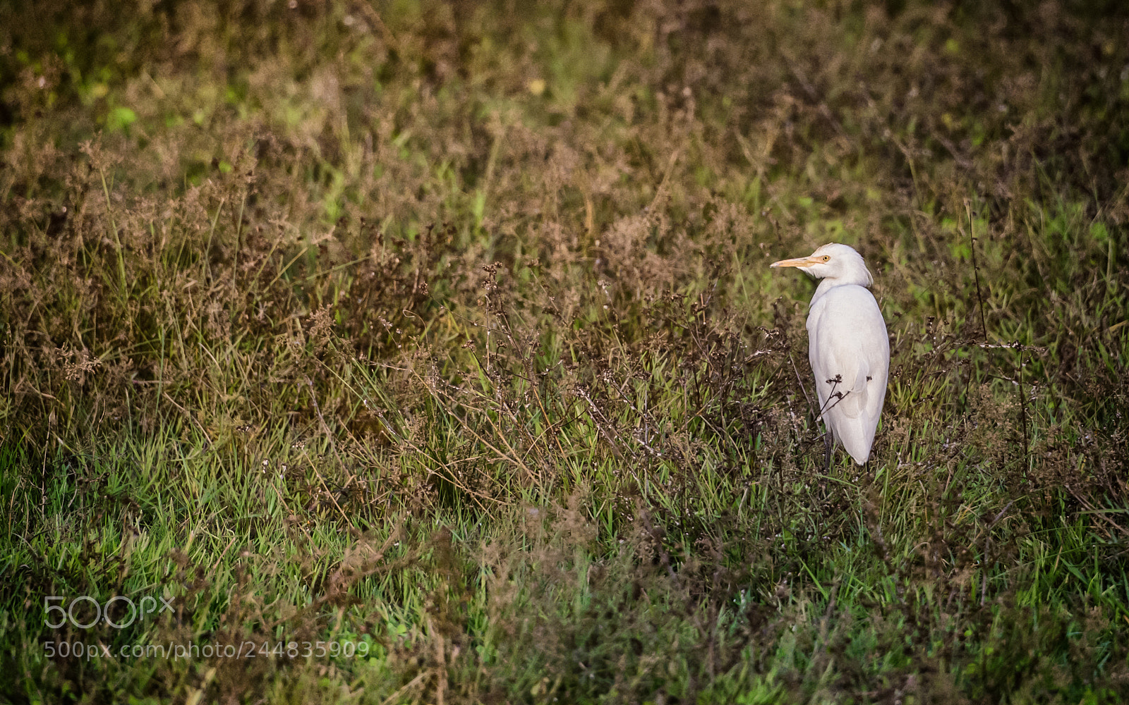 Nikon D7100 sample photo. Nothing here photography