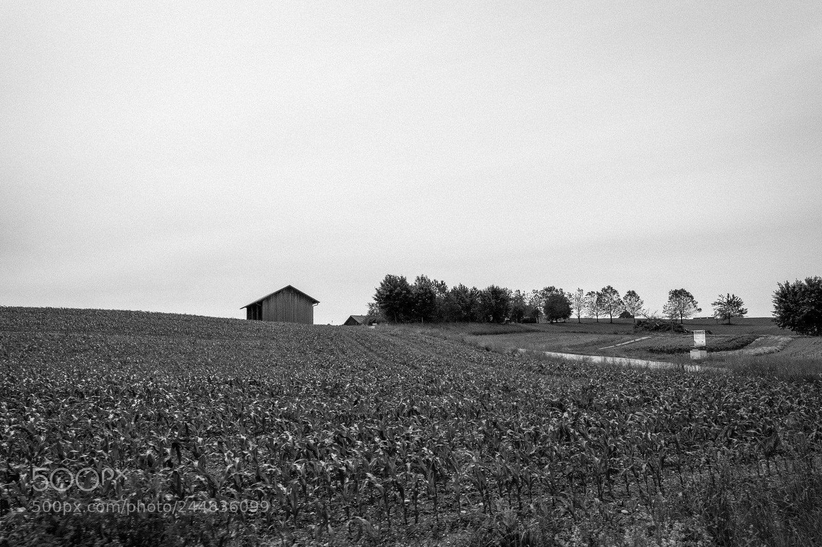 Samsung NX300 sample photo. Random bavarian landscapes photography