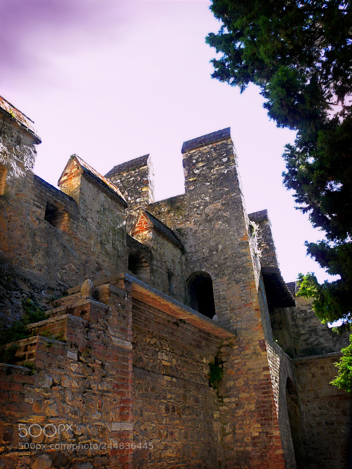 Panasonic DMC-FZ18 sample photo. Castello scaligero photography