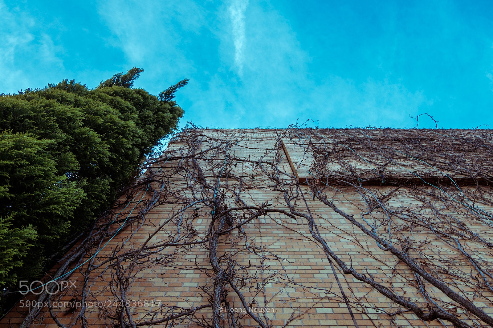 Fujifilm X-T10 sample photo. Untitled photography