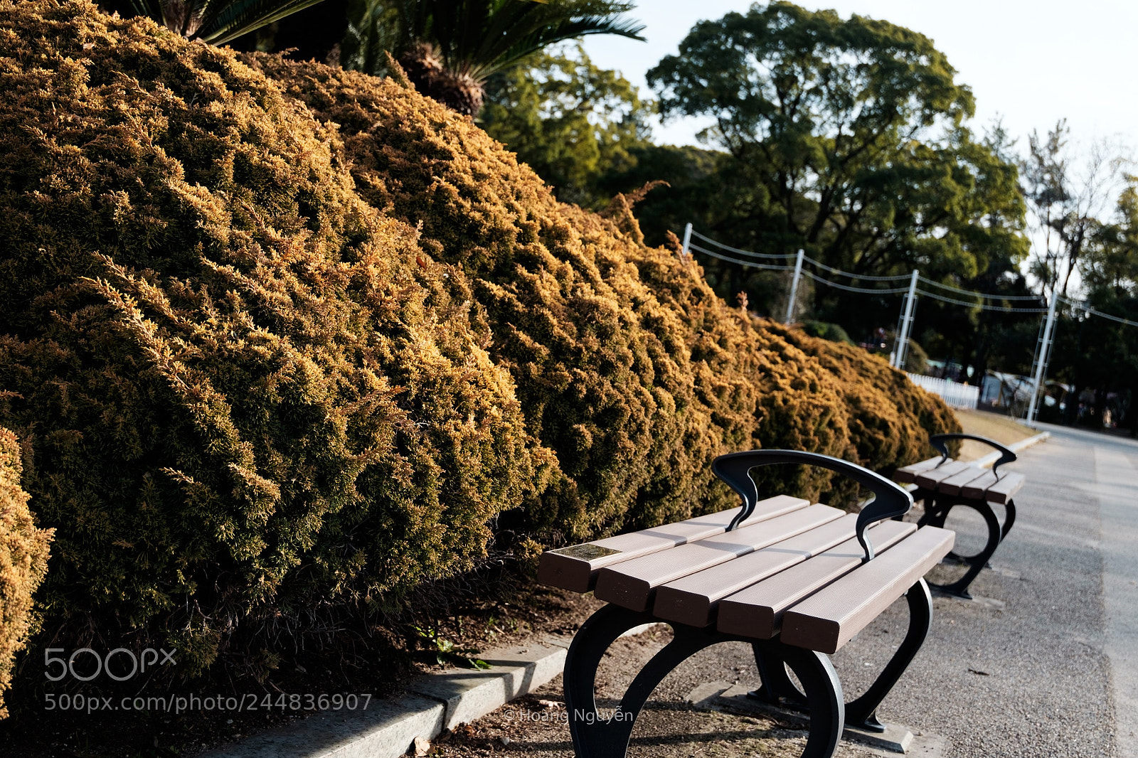 Fujifilm X-T10 sample photo. Untitled photography