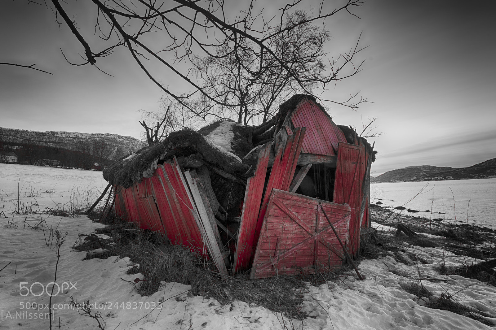 Nikon D500 sample photo. Old and forgotten photography