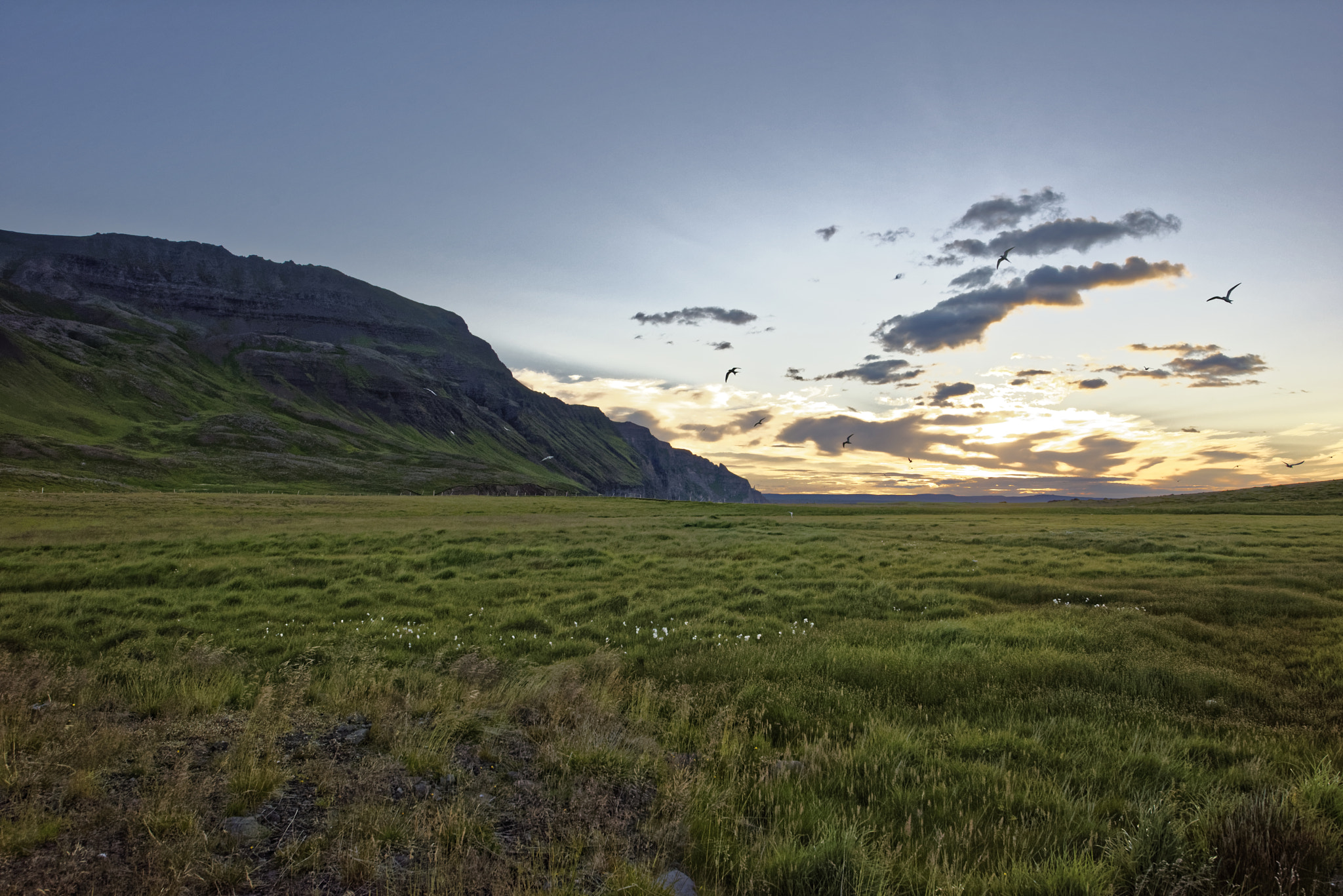 Nikon AF-S Nikkor 14-24mm F2.8G ED sample photo. Imposing drangey island off the coast of iceland. photography