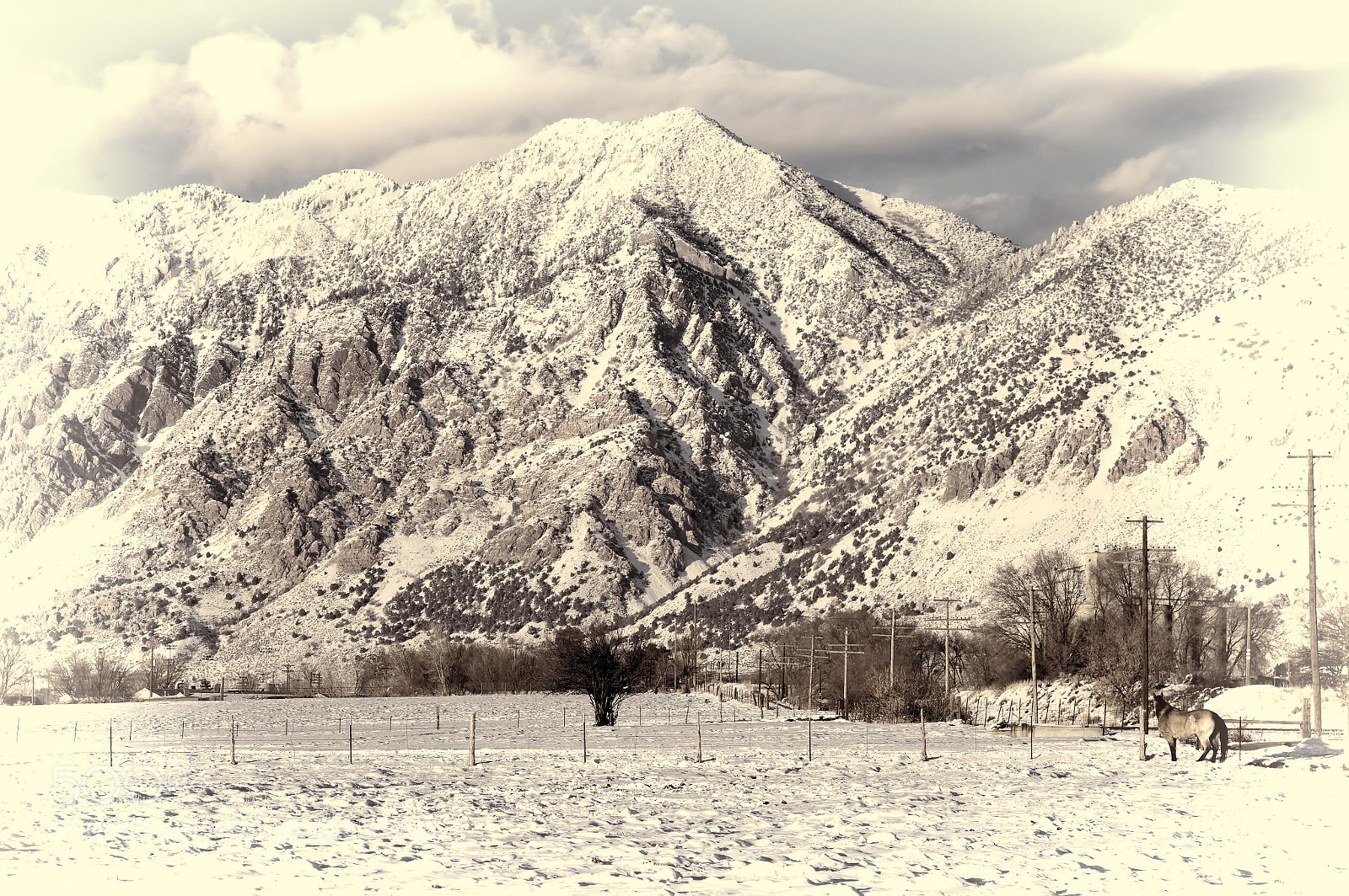 Pentax K-3 sample photo. Winter softness photography