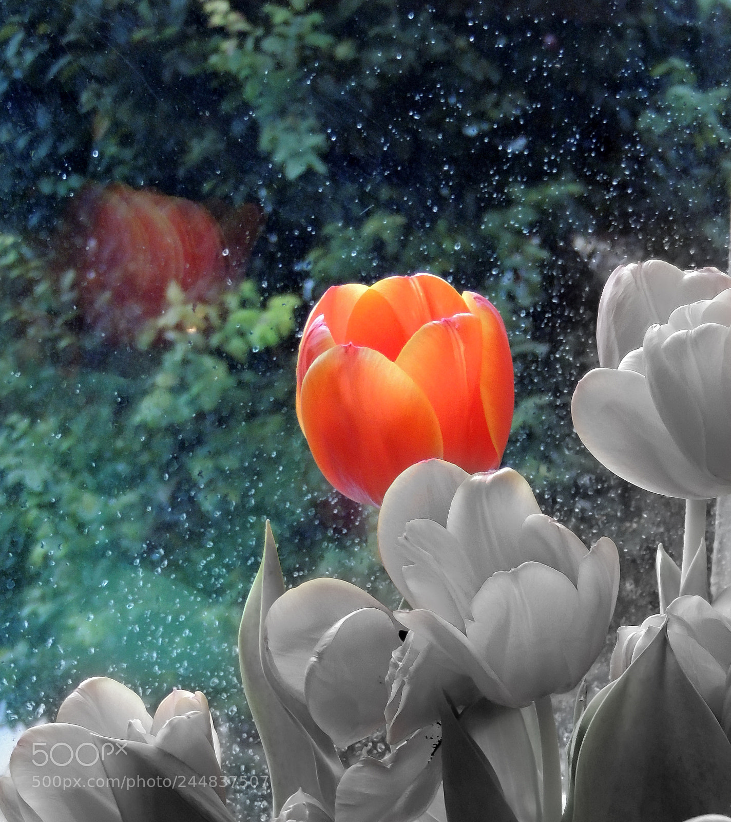 Nikon Coolpix P510 sample photo. Mirror of my desires photography