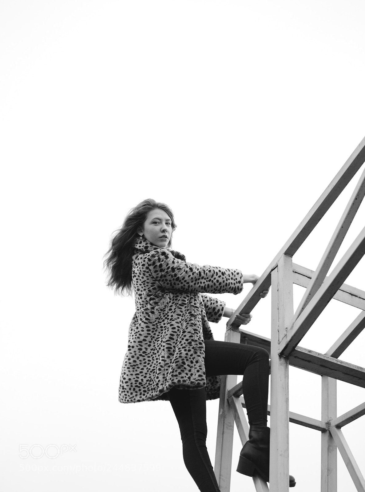 Nikon D610 sample photo. Untitled photography