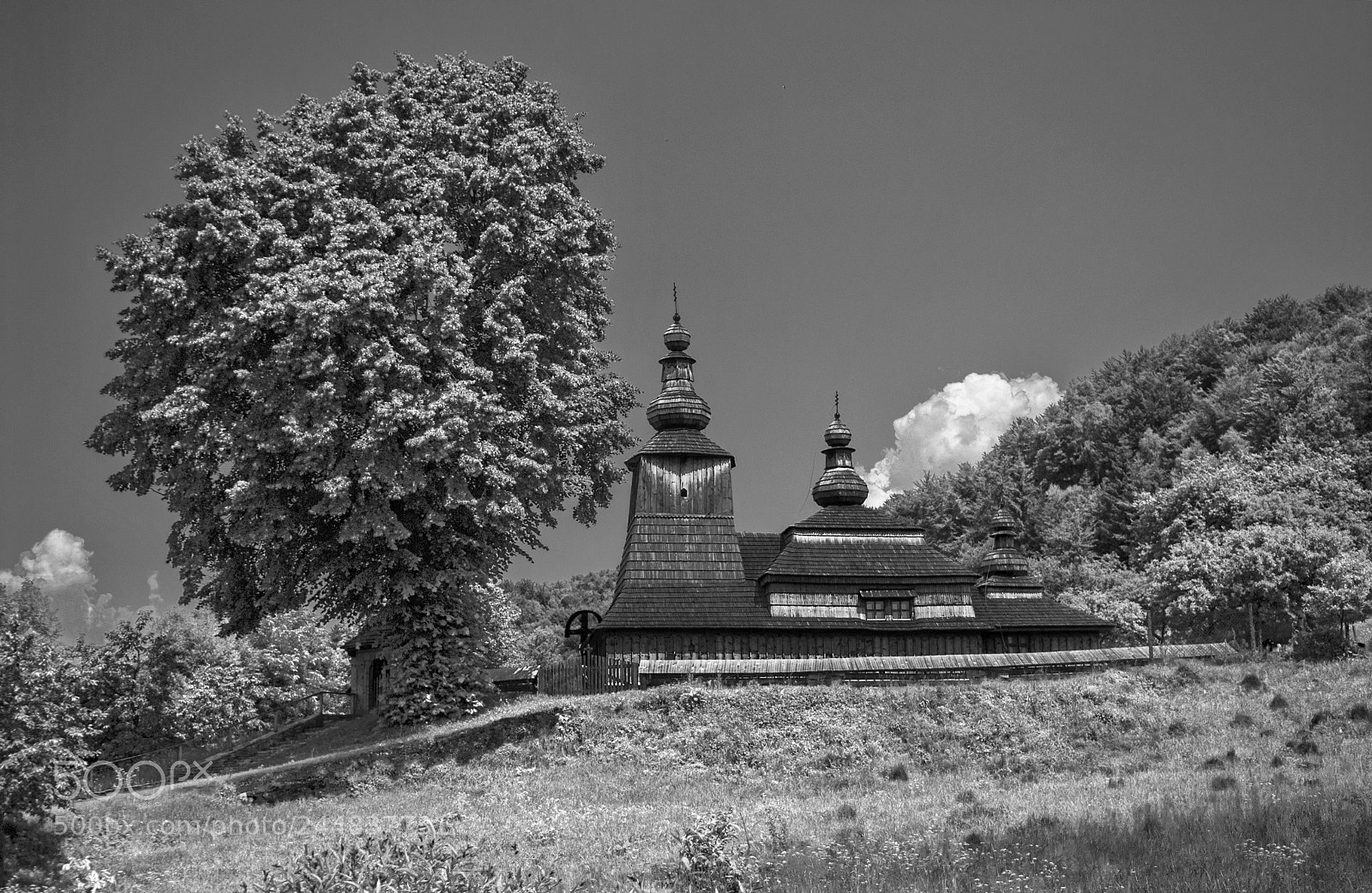 Nikon D80 sample photo. Mother s of god photography