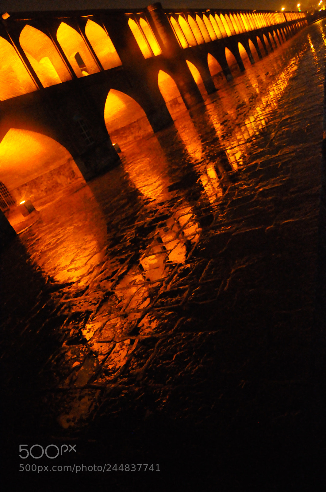 Nikon D90 sample photo. Untitled photography