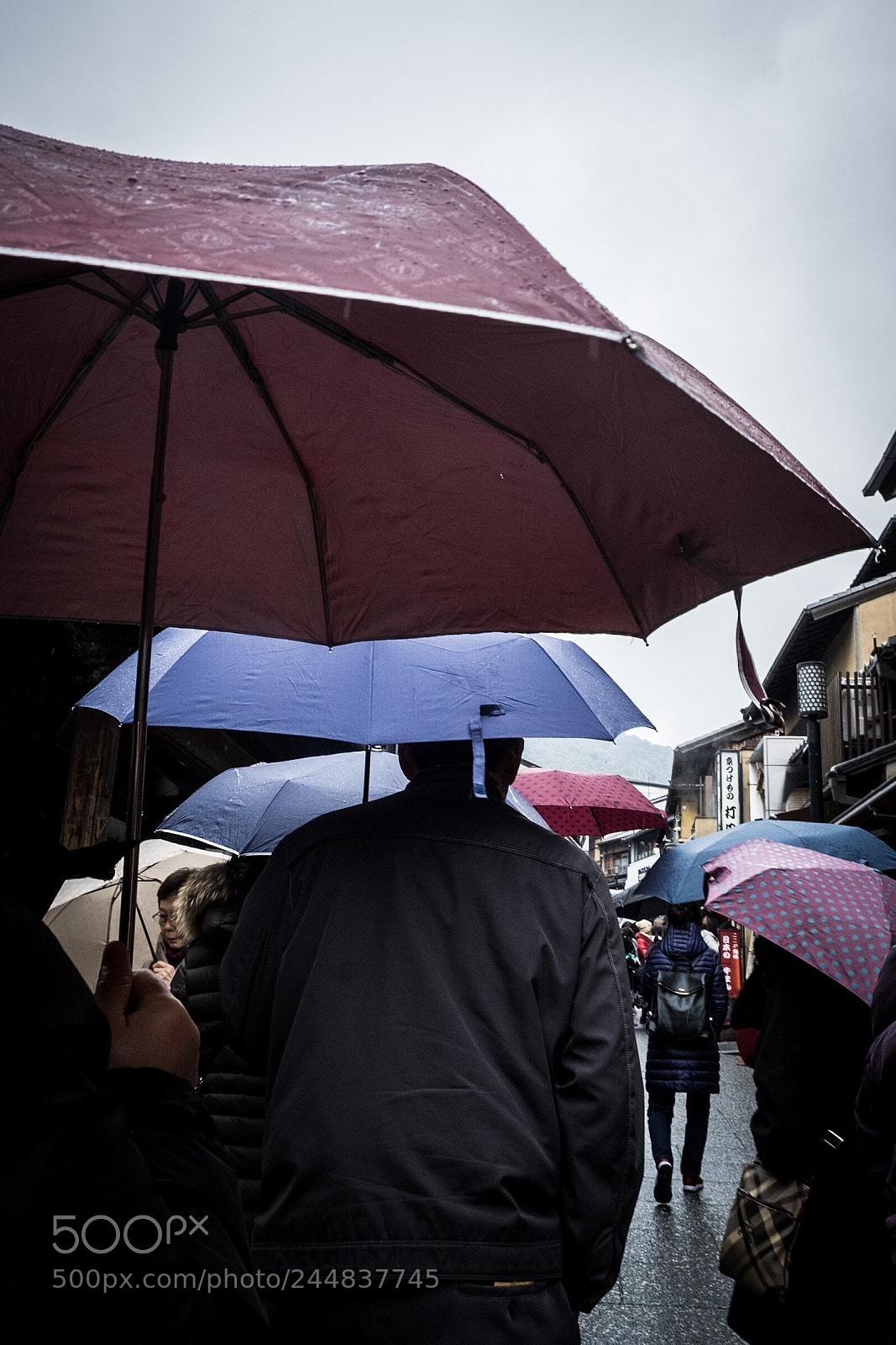 Fujifilm X-Pro2 sample photo. Rainy kyoto photography