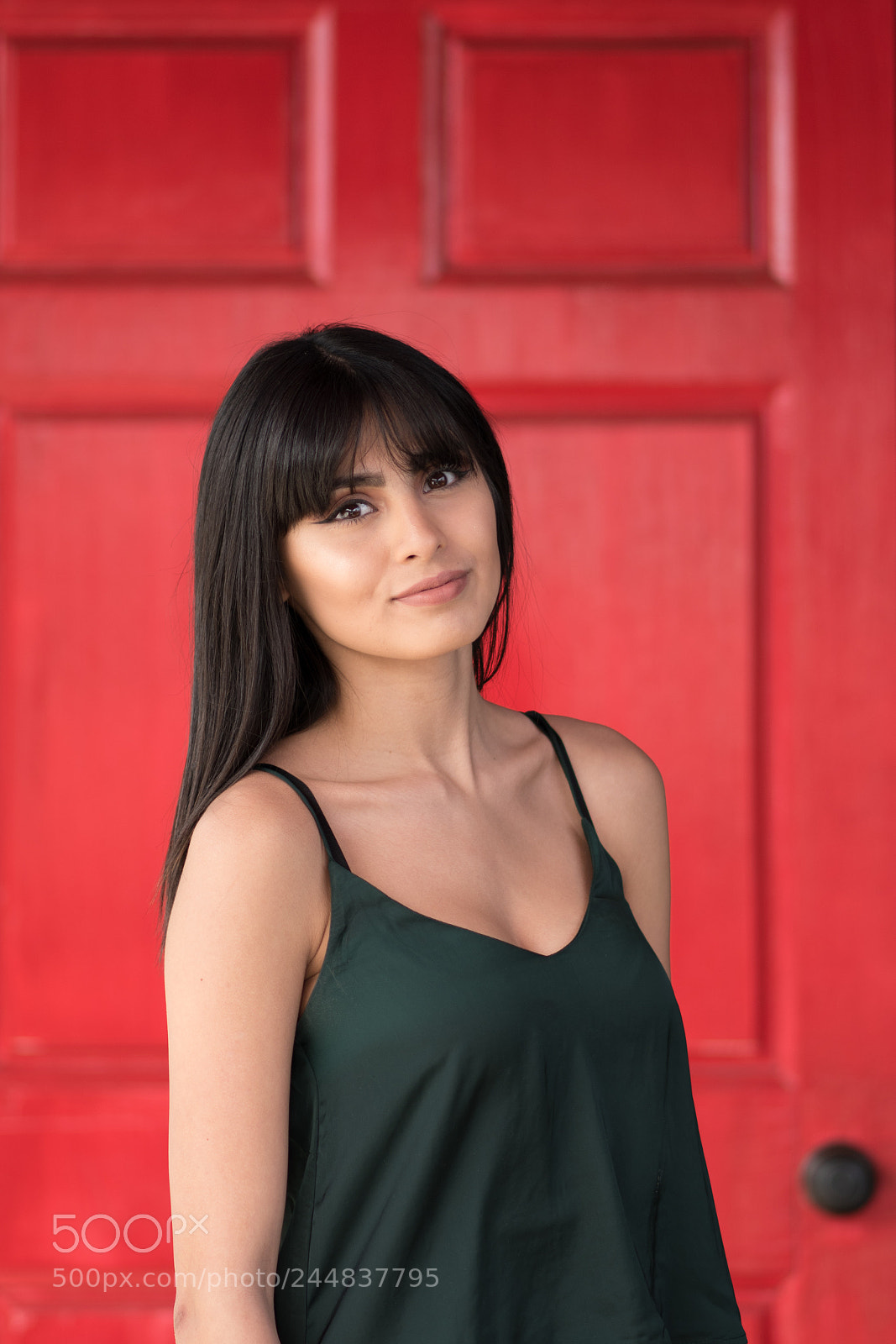 Nikon D5500 sample photo. Red doors photography
